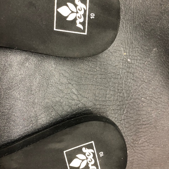 Reef - Picture 2 of 3